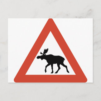Norwegian Elk Postcard