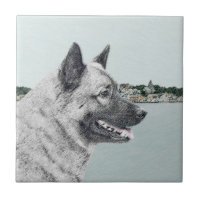 Norwegian Elkhound at Village Painting - Dog Art