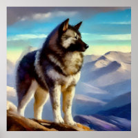 Norwegian Elkhound Dog