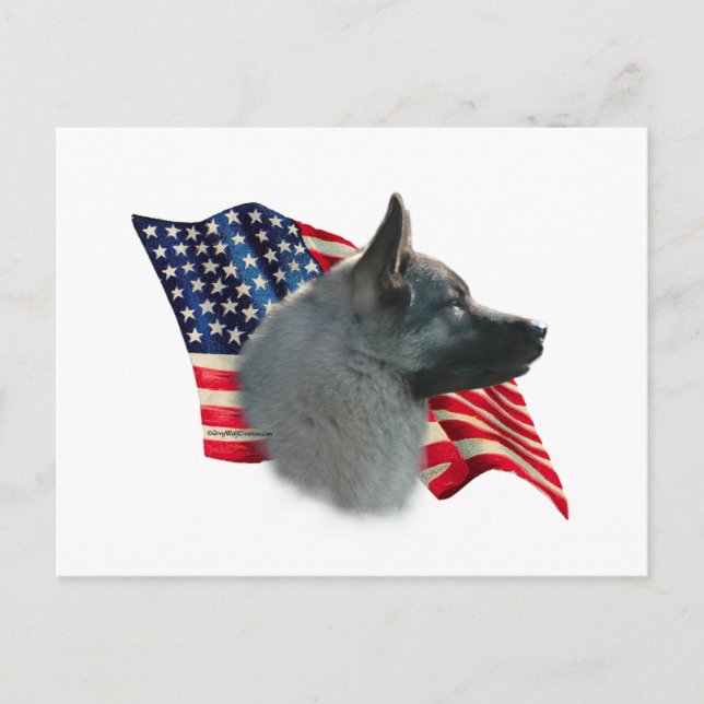 Norwegian Elkhound Flag Postcard (Front)