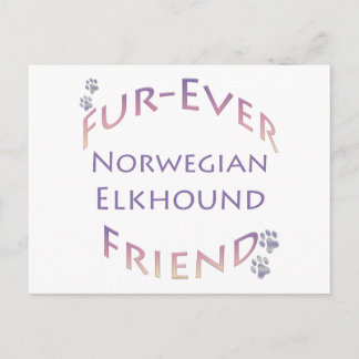 Norwegian Elkhound Furever Postcard