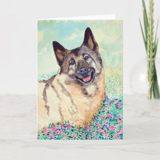 Norwegian Elkhound Greeting Cards