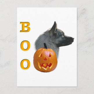 Norwegian Elkhound Halloween Boo Postcard