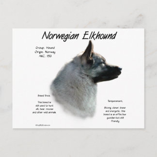 Norwegian Elkhound History Design Postcard