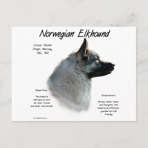 Norwegian Elkhound History Design Postcard