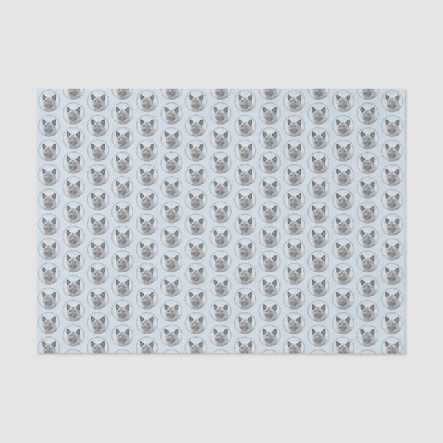 Norwegian Elkhound Painting - Original Dog Art Tissue Paper (Front)