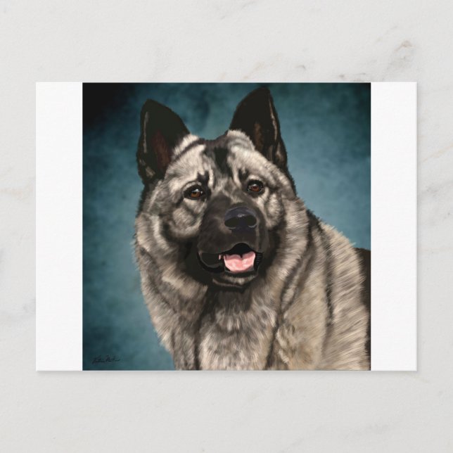 Norwegian Elkhound Postcard (Front)