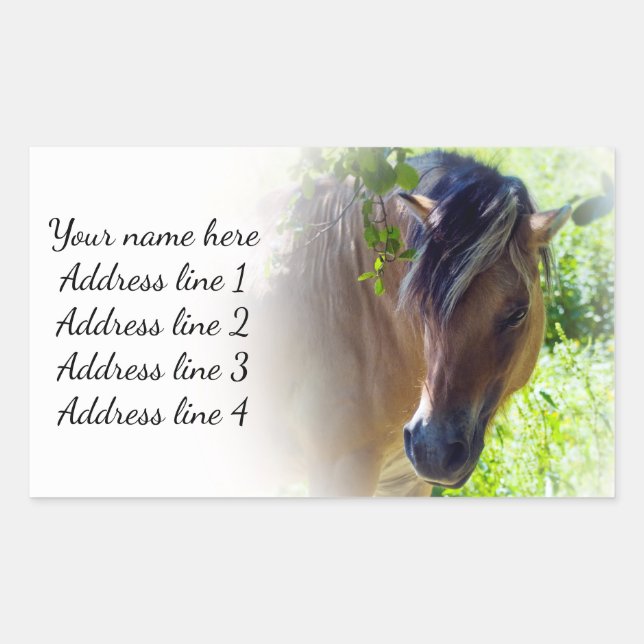 Norwegian Fjord Horse Address Labels (Front)