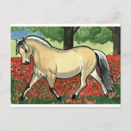 Norwegian Fjord HORSE ART Postcard