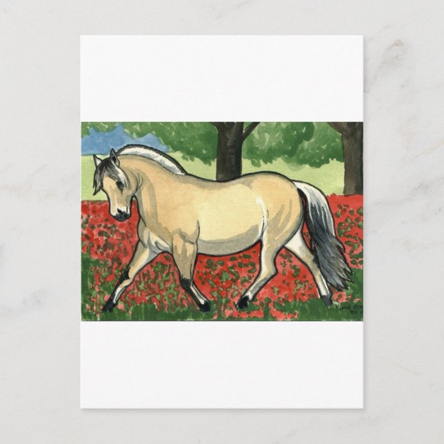 Norwegian Fjord HORSE ART Postcard (Front)