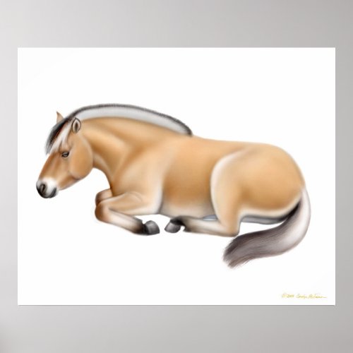 Norwegian Fjord Horse at Rest Print