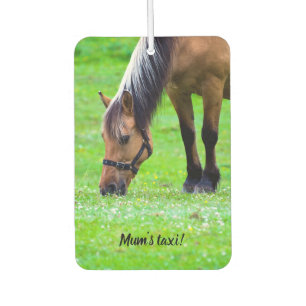 Norwegian Fjord Horse Car air freshener