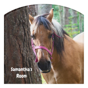Norwegian Fjord Horse Door Sign