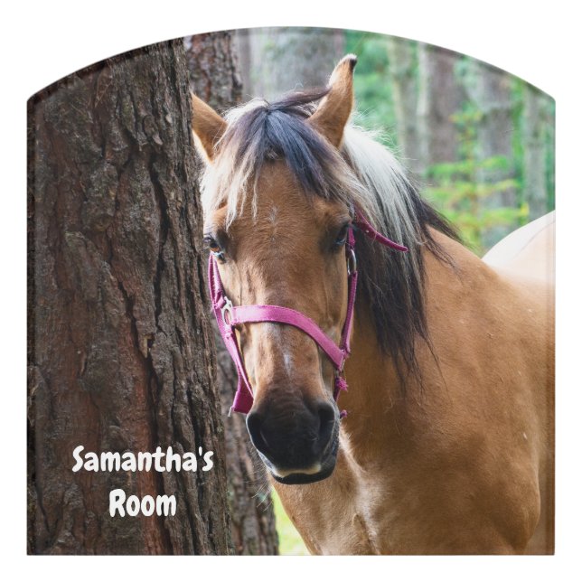 Norwegian Fjord Horse Door Sign (Contour Front)