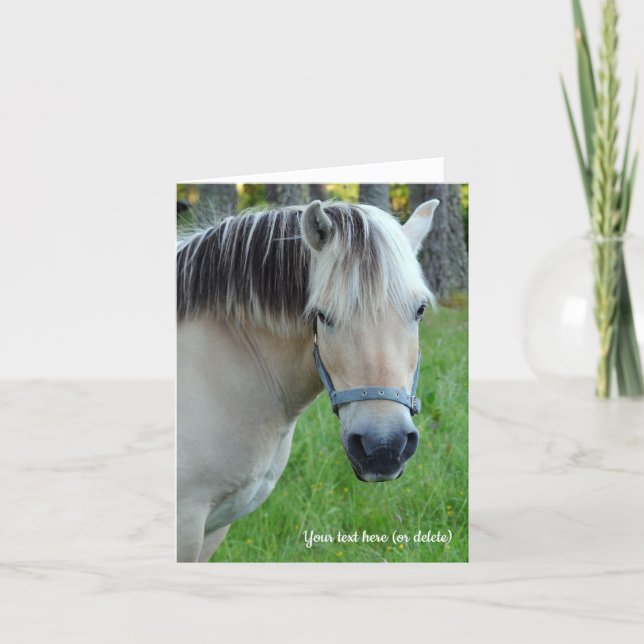 Norwegian Fjord Horse Greeting card (Front)