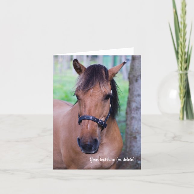 Norwegian Fjord Horse Greeting card (Front)