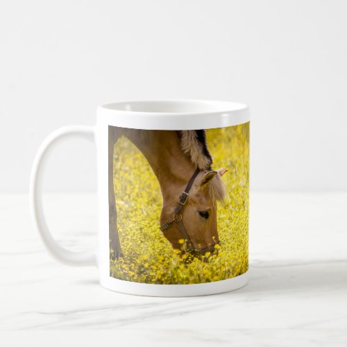 Norwegian Fjord Horse in Buttercups _ Finn Coffee Mug