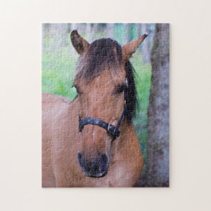 Norwegian Fjord Horse Jigsaw puzzle