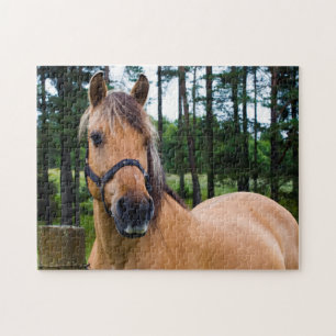 Norwegian Fjord Horse Jigsaw puzzle