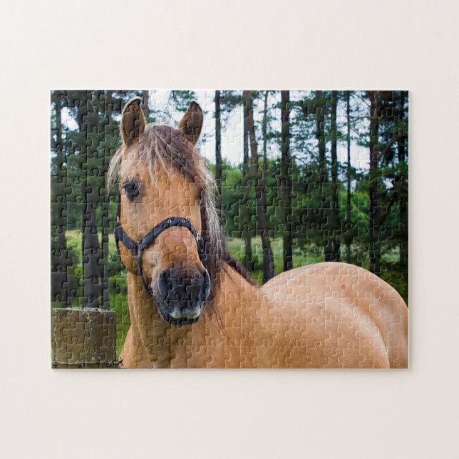 Norwegian Fjord Horse Jigsaw puzzle (Horizontal)