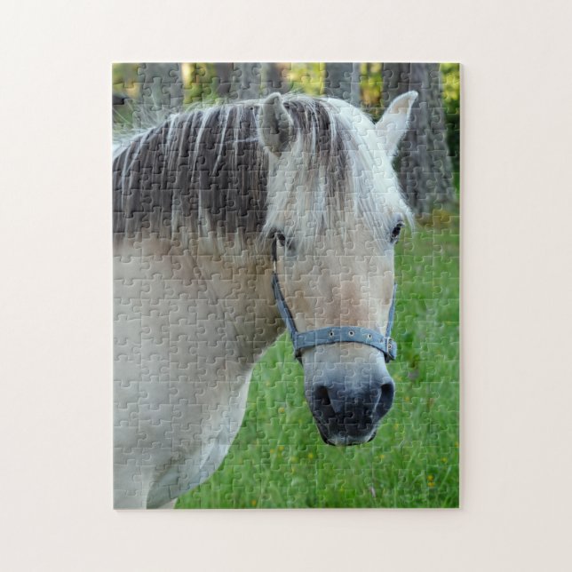 Norwegian Fjord Horse Jigsaw puzzle (Vertical)