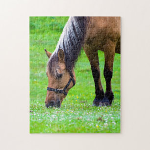 Norwegian Fjord Horse Jigsaw puzzle