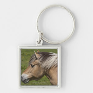 Norwegian Fjord Horse Keychain