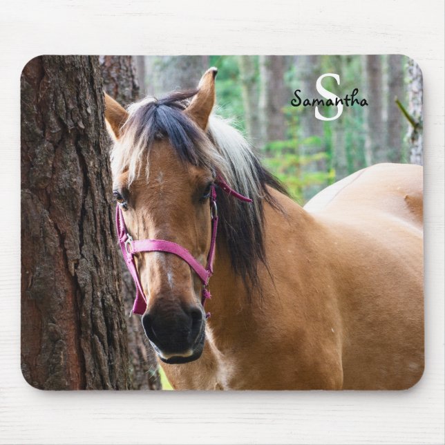 Norwegian Fjord Horse Mouse mat (Front)