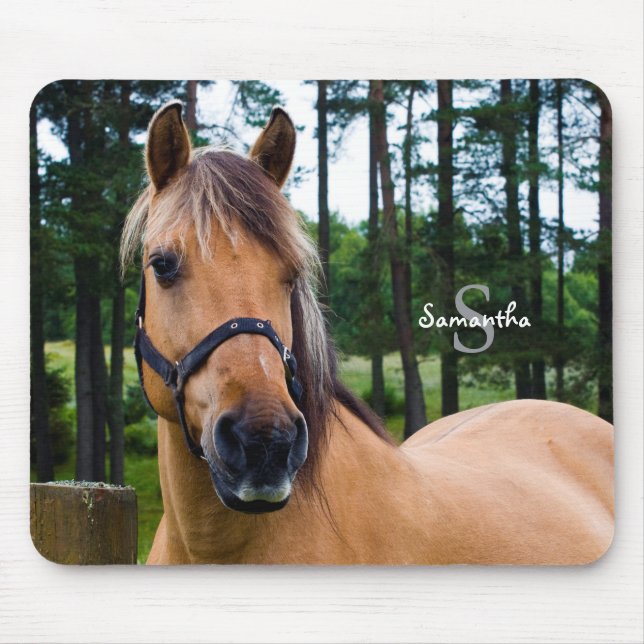 Norwegian Fjord Horse Mouse mat (Front)