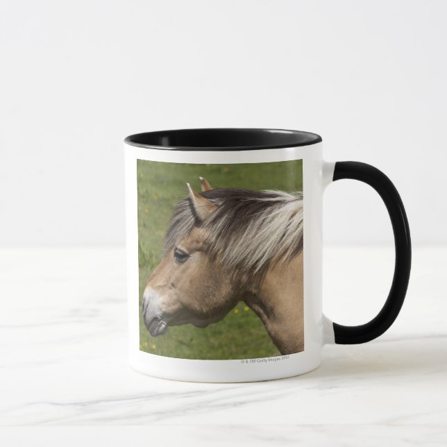 Norwegian Fjord Horse Mug (Right)