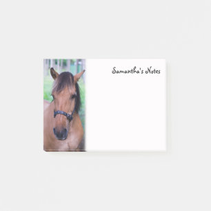 Norwegian Fjord Horse Post-It Notes