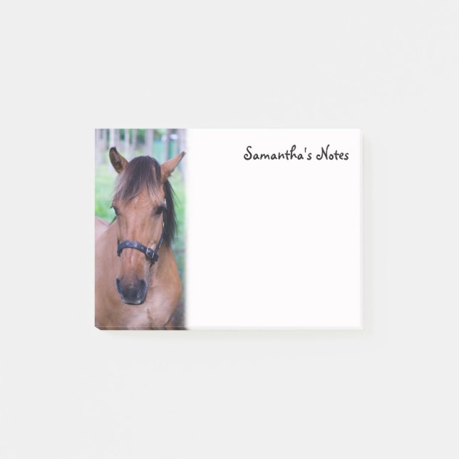 Norwegian Fjord Horse Post-It Notes (Front)