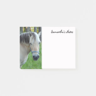 Norwegian Fjord Horse Post-It Notes