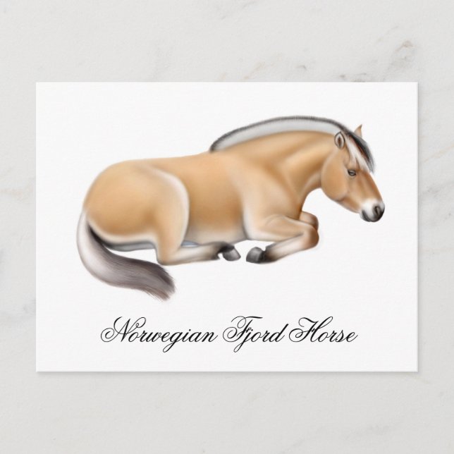 Norwegian Fjord Horse Postcard (Front)