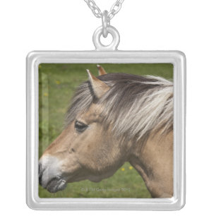 Norwegian Fjord Horse Silver Plated Necklace