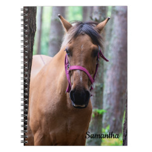 Norwegian Fjord Horse Spiral Notebook