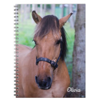 Norwegian Fjord Horse Spiral notebook
