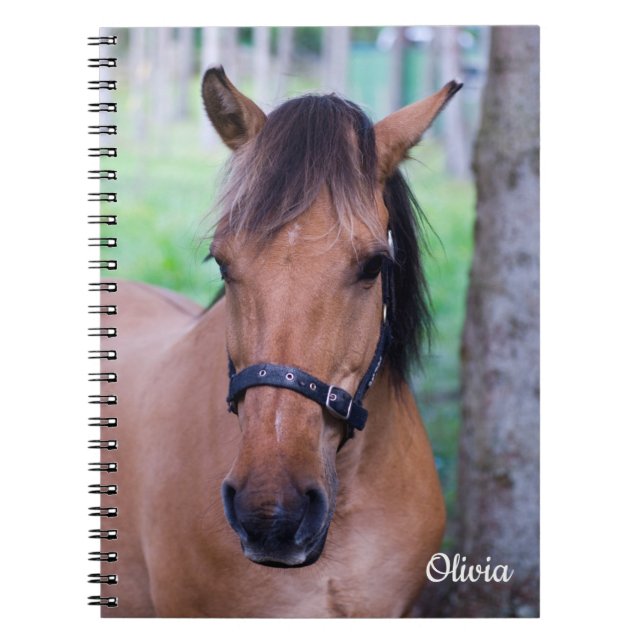 Norwegian Fjord Horse Spiral notebook (Front)