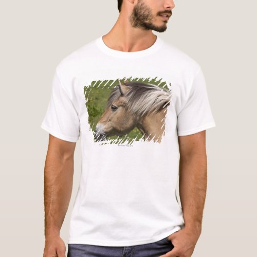 Norwegian Fjord Horse T_Shirt