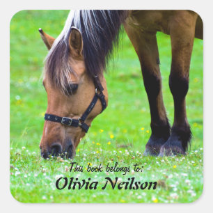 Norwegian Fjord Horse "This book belongs to ..." Square Sticker