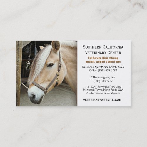 Norwegian Fjord Horse Veterinarian Vet Clinic Business Card