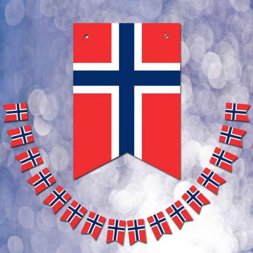 Norwegian Flag  Party Norway Banners  Weddings