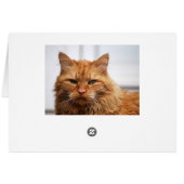 Norwegian Forest Cat Cards (Back Horizontal)