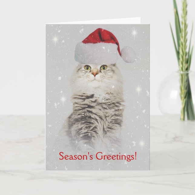 Norwegian Forest Cat Christmas Card (Front)