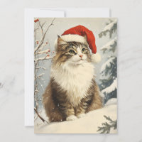Norwegian forest cat christmas