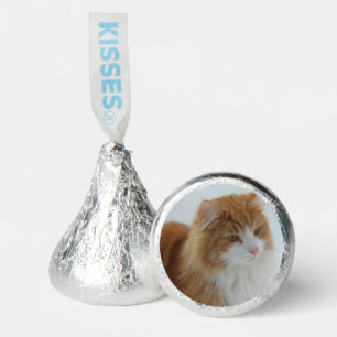 Norwegian_Forest_Cat Hershey®'s Kisses®