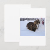 norwegian forest cat in snow (Front/Back)