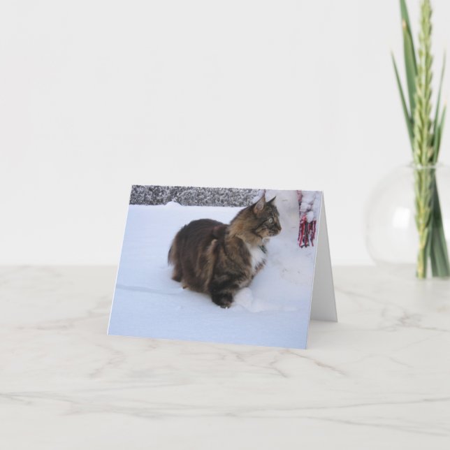 norwegian forest cat in snow card (Front)