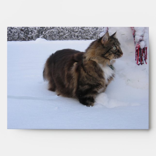 norwegian forest cat in snow envelope (Front)