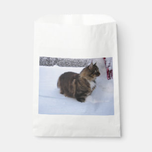 norwegian forest cat in snow favor bag